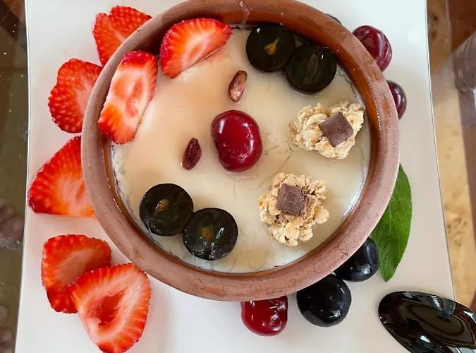 Odin Luxury Motor Yacht * דלמן